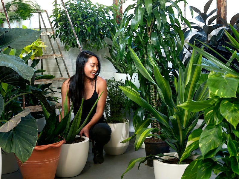 5 Sustainable Living Influencers You Should Be Following (1/17/2020)