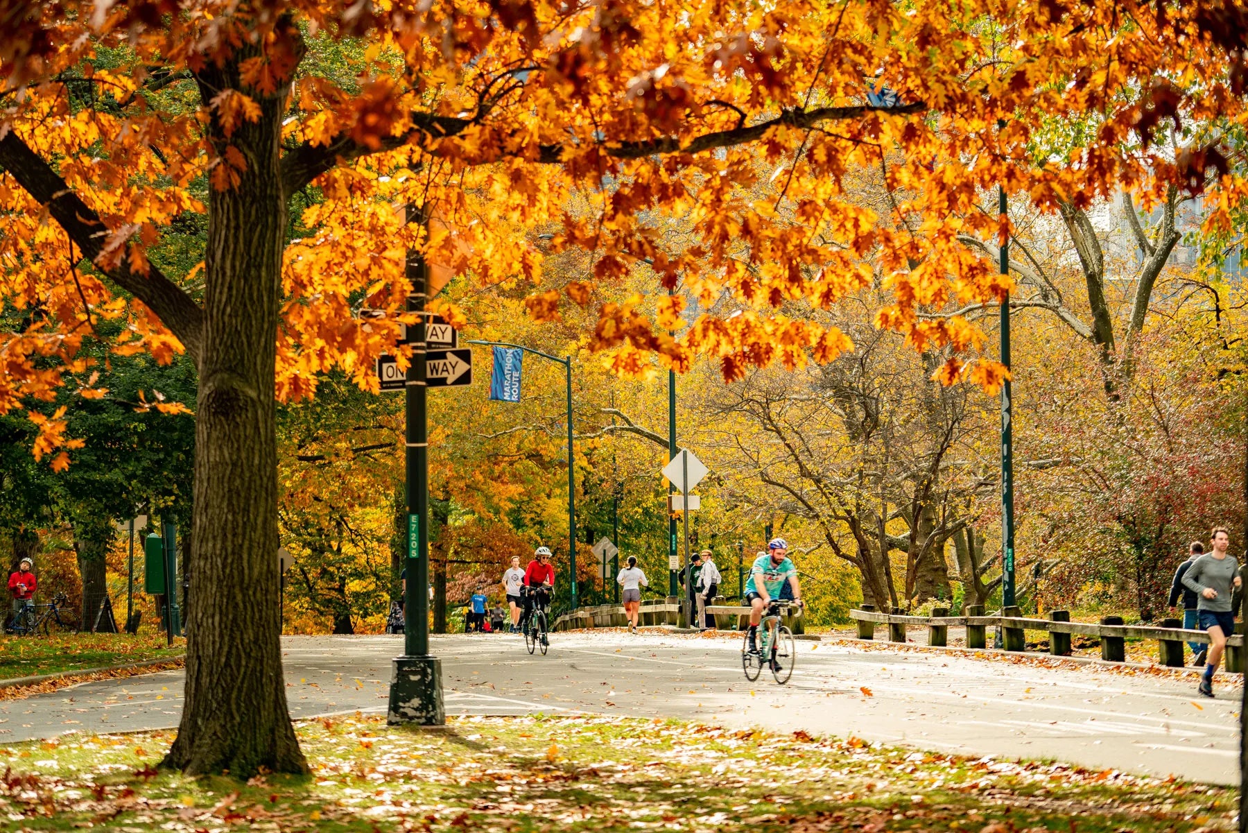 4 Unforgettable NYC Getaways This Fall