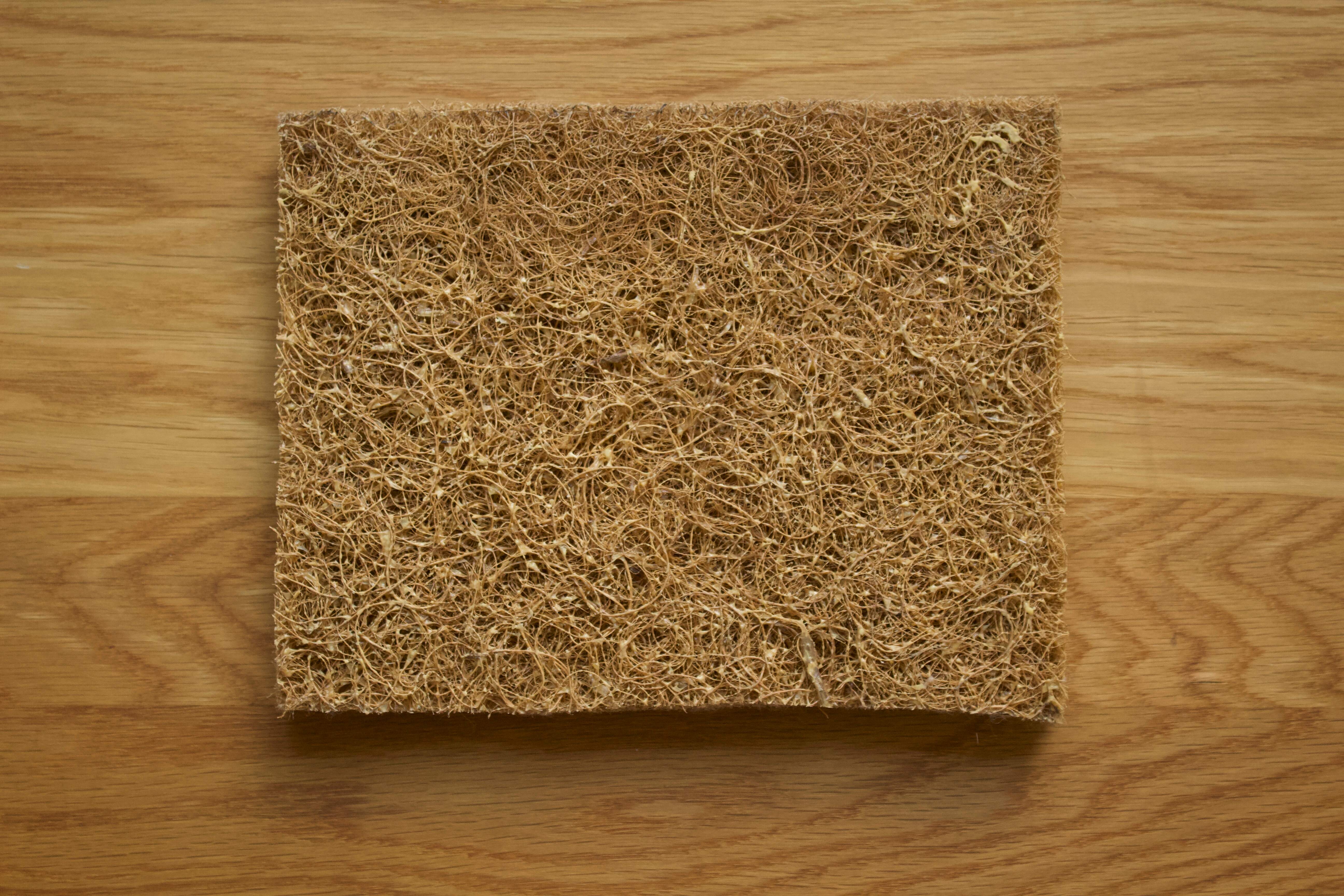 What Is Cocolok? A Guide to the Natural Coconut Fiber Used in Furniture