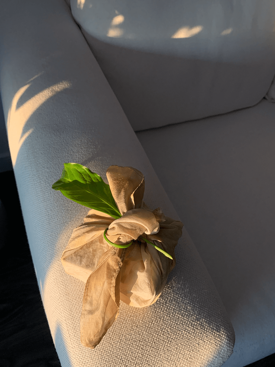 Sustainable Tips for Holiday Gatherings (11/18/2021)