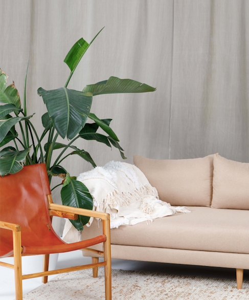 Welcome to The Green House (9/17/2019)