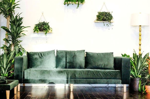 Sustainable Gift Guide (2/19/2019)