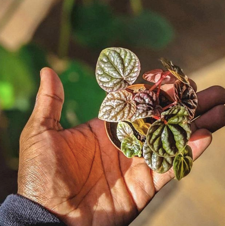 Sustainability Events Roundup: January 2020 (1/2/2020)