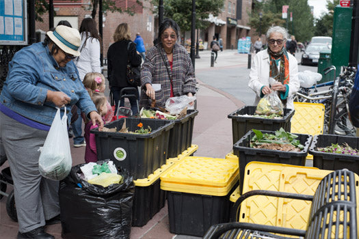 All Your Questions About Composting, Answered (10/1/2019)