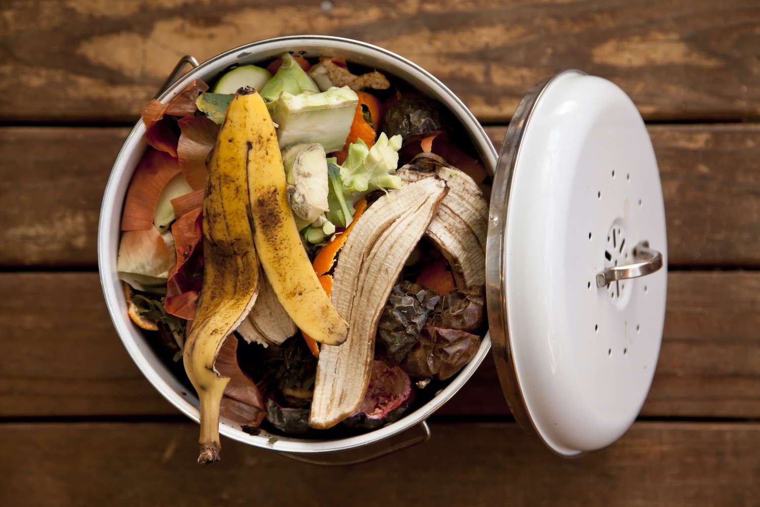 Let’s Break It Down (Literally): Quick Stats on Food Waste & 4 Earth-Conscious Reasons Why We Should Start Composting (2/2/2023)