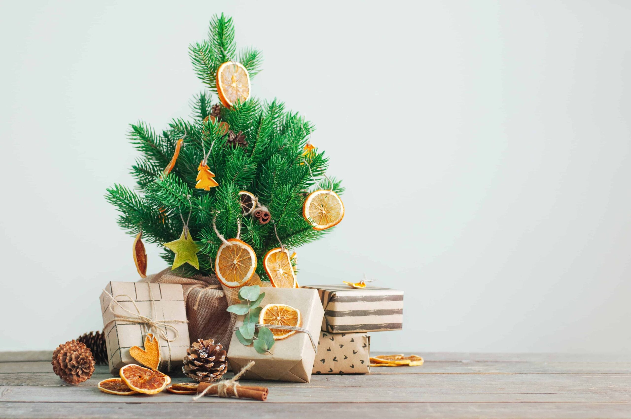 5 Low-Waste Ideas to Sustainably Decorate For the Holidays (12/8/2022)