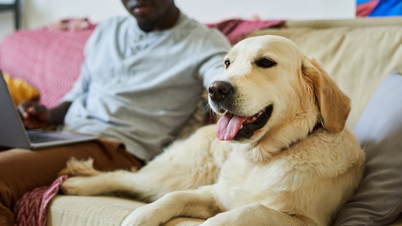 Tips on Sustainable Pet Ownership Part 2 (4/11/2023)