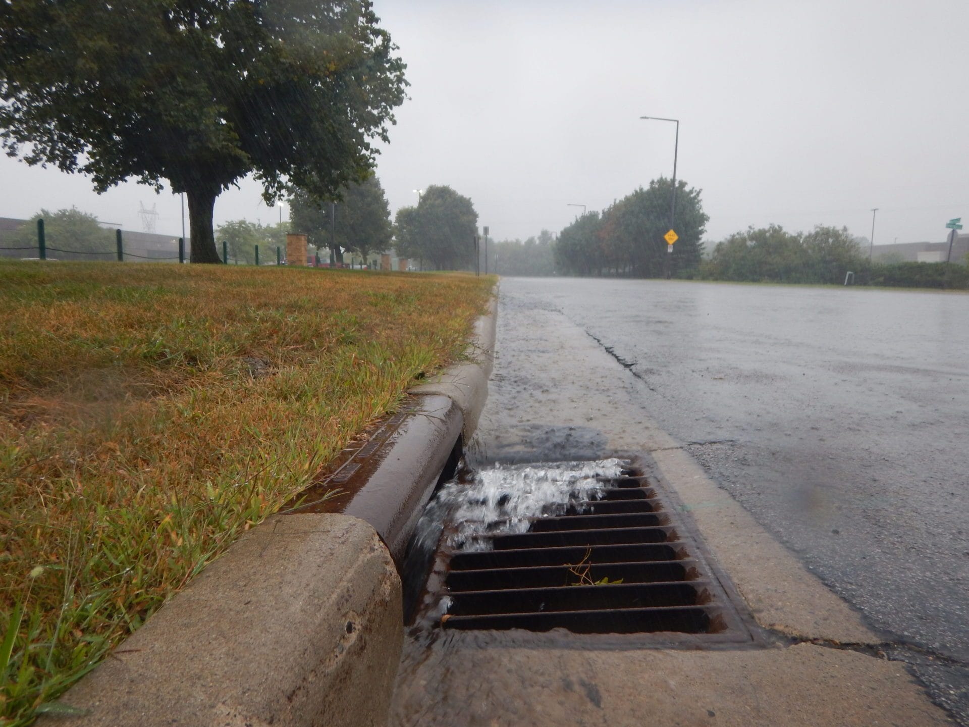 Saving For a Rainy Day: How Rain Barrels Help With Urban Stormwater Pollution & Water Quality (3/28/2023)