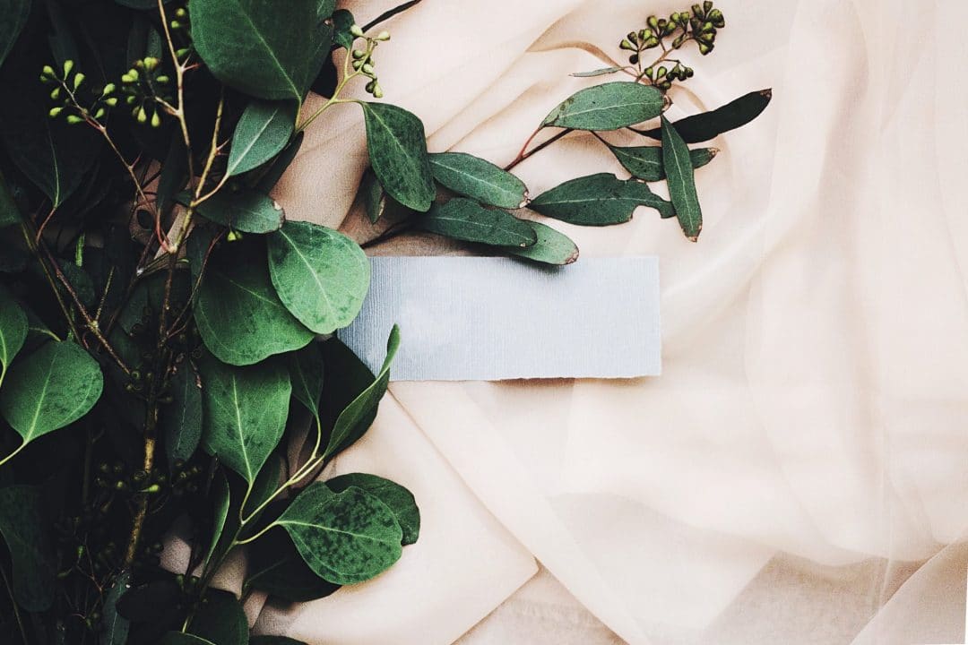 Your Guide to Eco-Friendly Fabrics (9/26/2019)